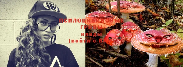 PSILOCYBIN Алексин